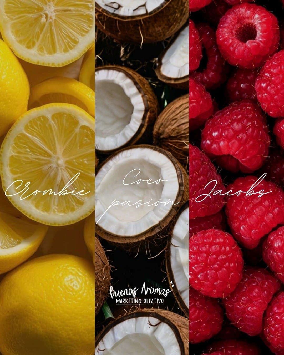 Tríptico de limones, cocos y frambuesas